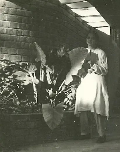 A black and white photograph from 1951 of Gira Sarabhai in a white kurta, standing beside large-leaved plants and a curved brick wall.