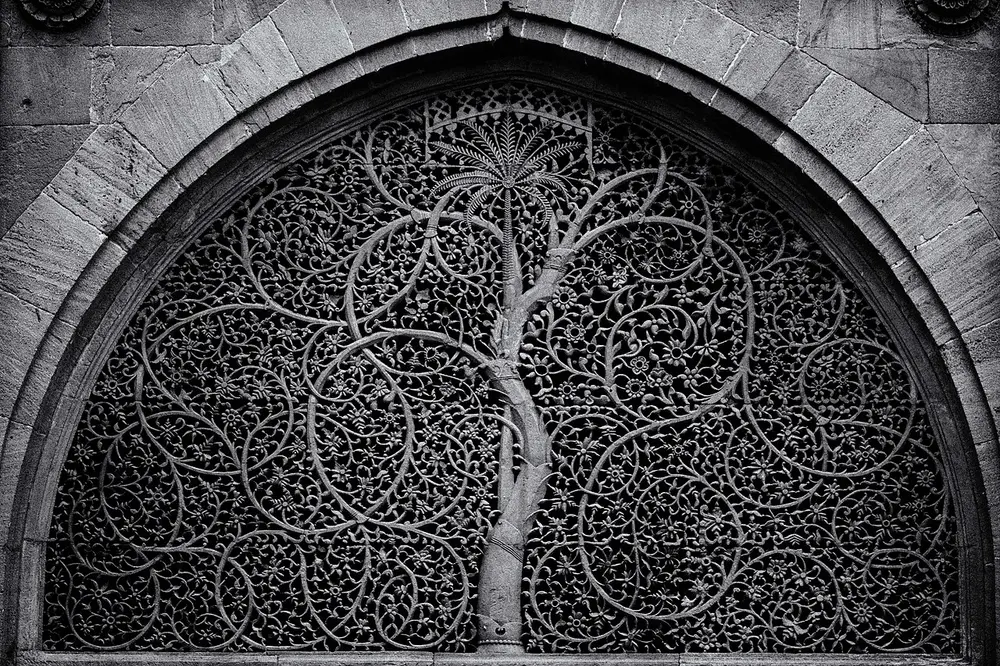 A black and white photo of an arched stone window carved like lace into a tree with a palm-like top and long curling branches full of leaves and flowers.