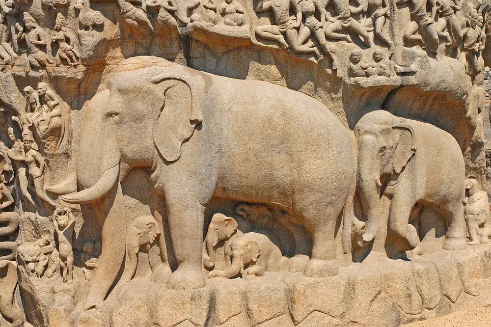 A close view of a huge granite rock carving: a life-size elephant and a smaller one walk side by side, with baby elephants sheltering under them, and rows of gods, people and animals carved above.