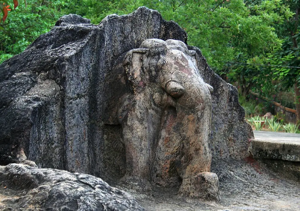 The front half of an elephant, with its head, trunk and front legs, carved out of a large rock on a hillside, surrounded by trees.