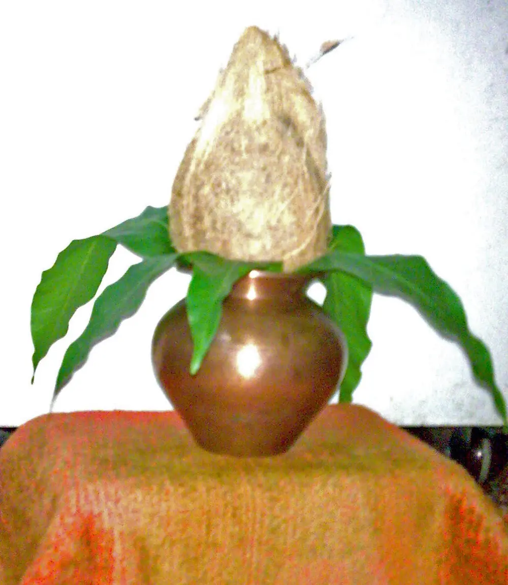 A round copper pot on an orange cloth, with a ring of green mango leaves at its mouth and a husked coconut standing upright in the middle.