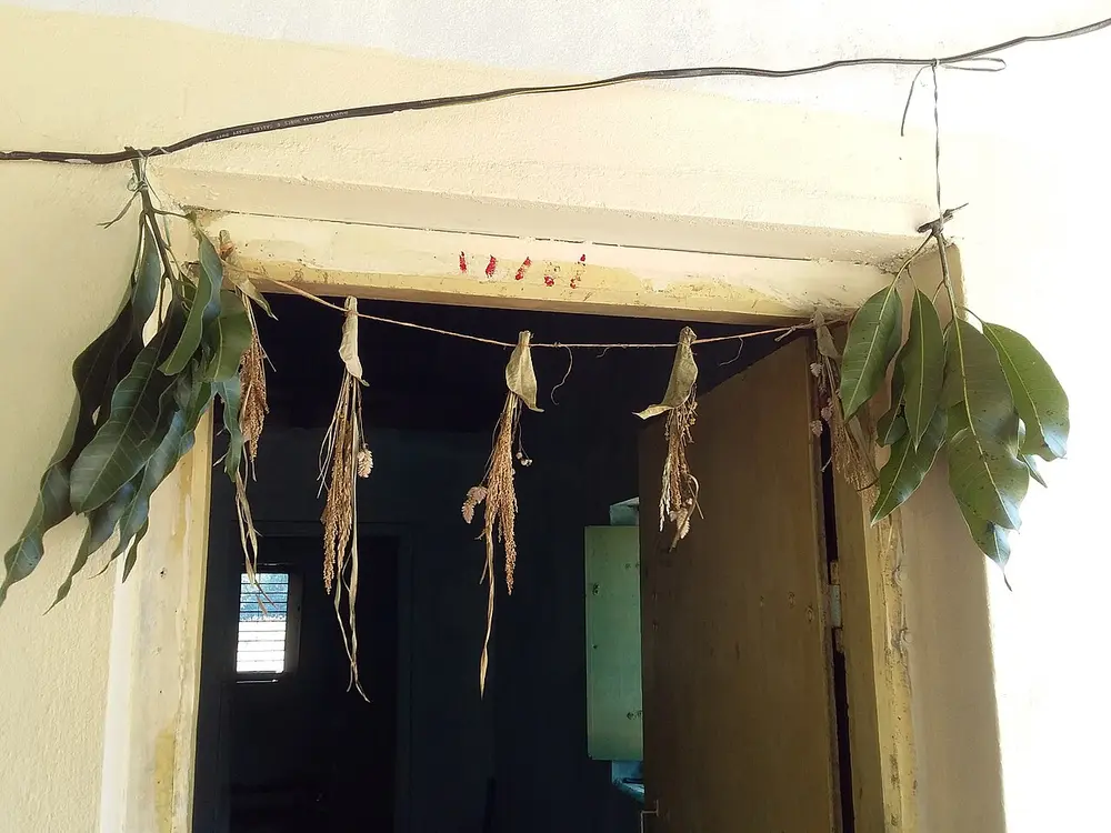 A string tied across the top of a doorway, hung with bunches of green mango leaves at both ends and small bundles of dried paddy stalks and flowers between them.