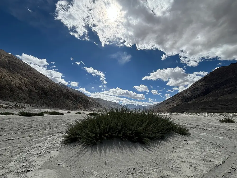 A wide grey sandy valley floor with a clump of grass, between bare brown mountains under clouds.