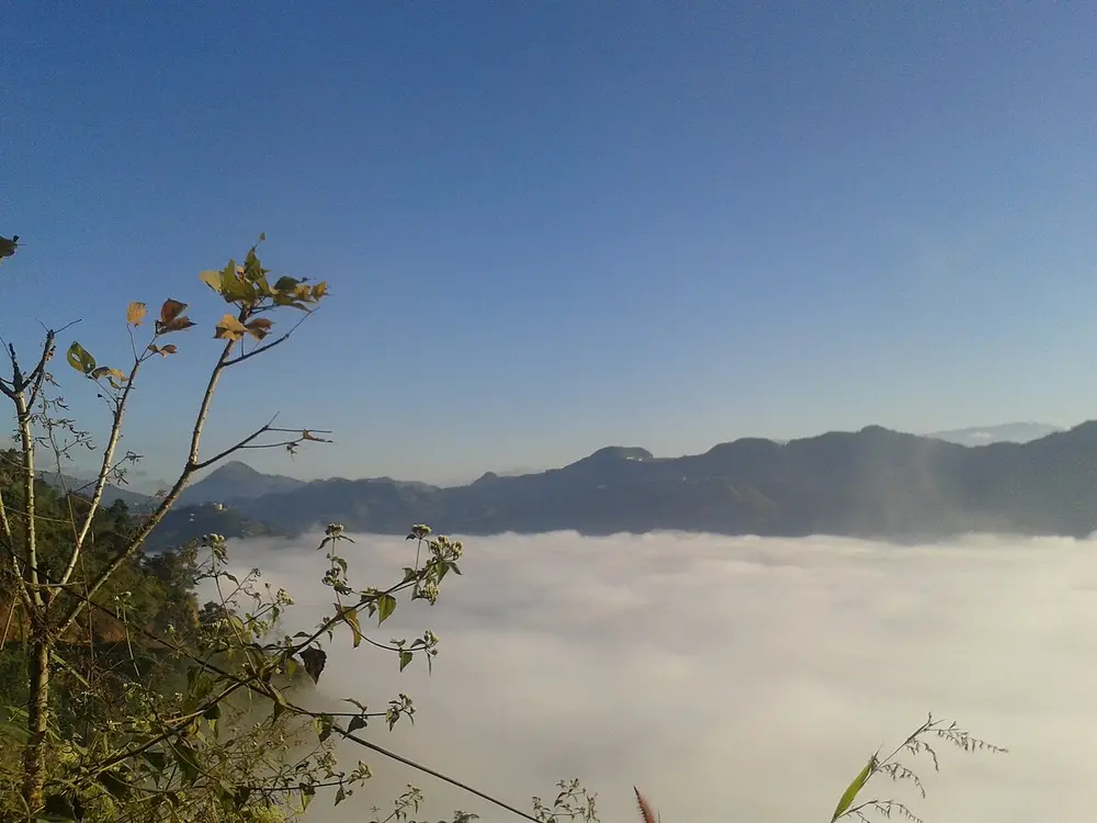 Forested hills rising above a sea of white cloud filling the valley below.