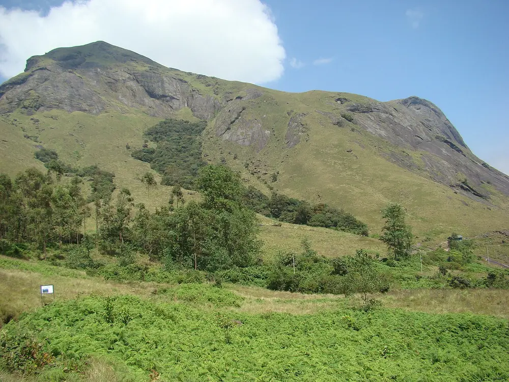 A green grassy mountain with a rocky summit under a blue sky, with shrubs in the foreground.