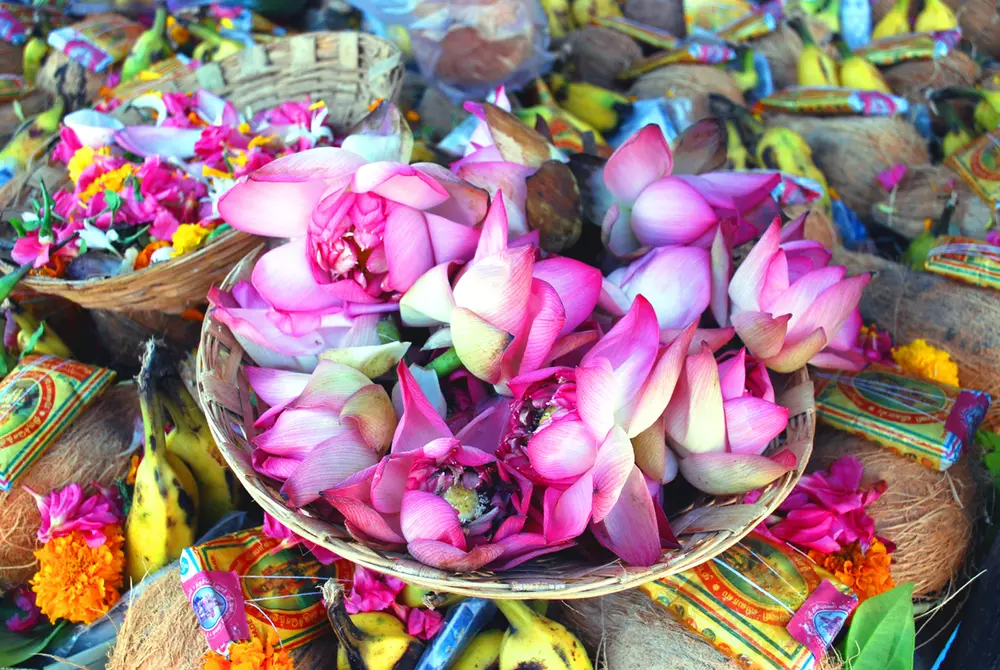 A basket of pink lotus flowers among coconuts, bananas and garlands for sale at a temple market in Madurai.