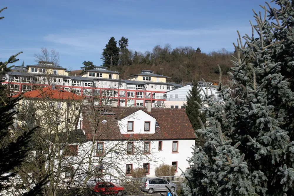 A wide view from a hillside over a small town: white houses with red roofs, a large evergreen tree on the right and blue sky above.
