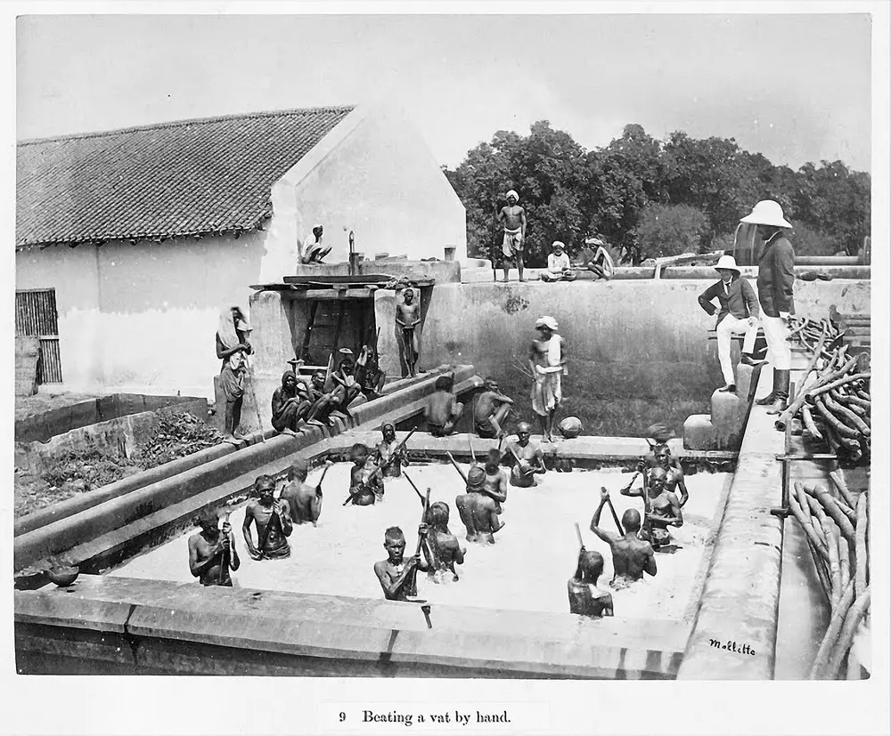 An old black and white photograph of men standing waist-deep in a large brick tank, beating the liquid with long paddles, while others watch from the edge.