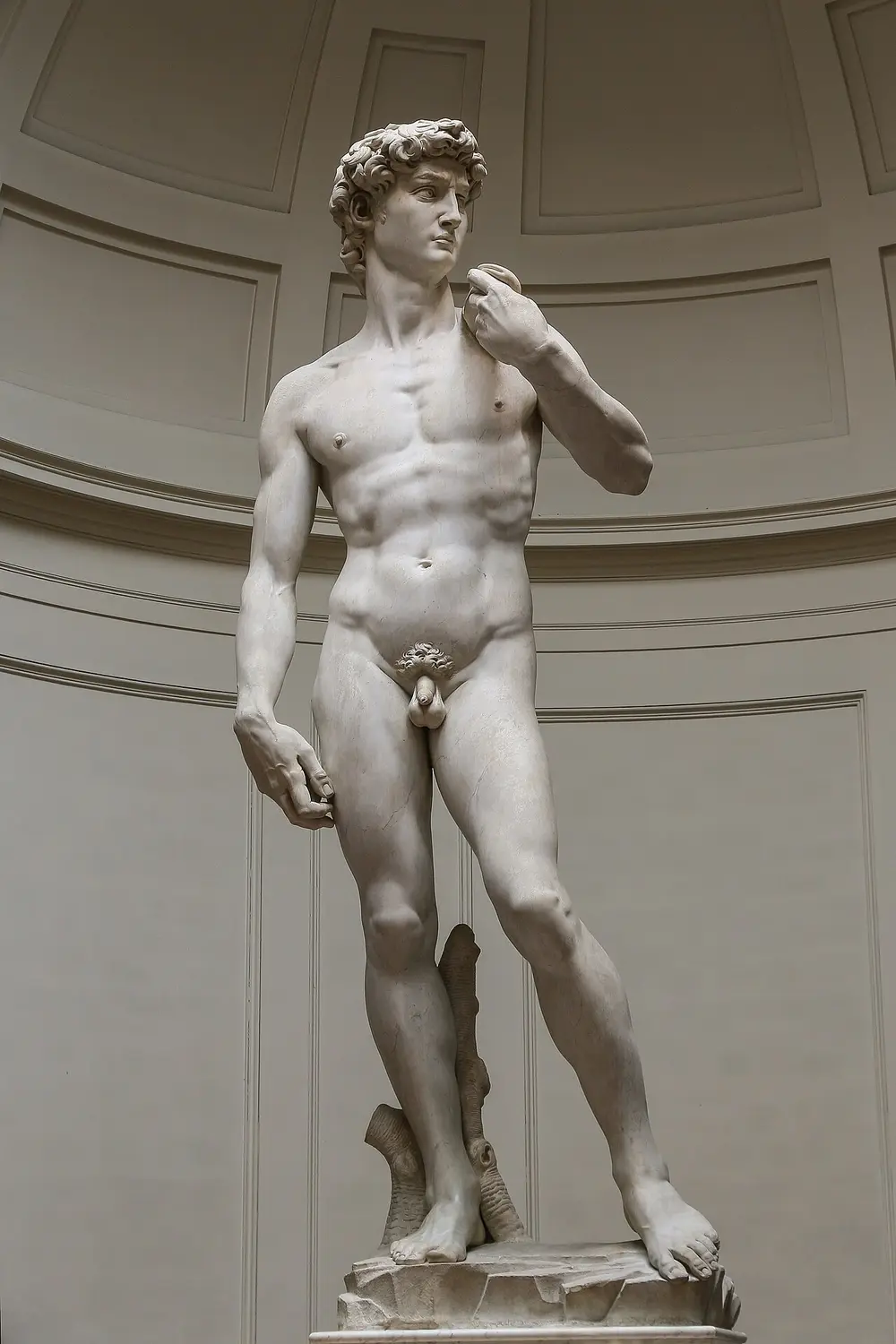The marble statue of David, a nude young man standing with his weight on one leg, a sling over his left shoulder, looking sharply to his left.