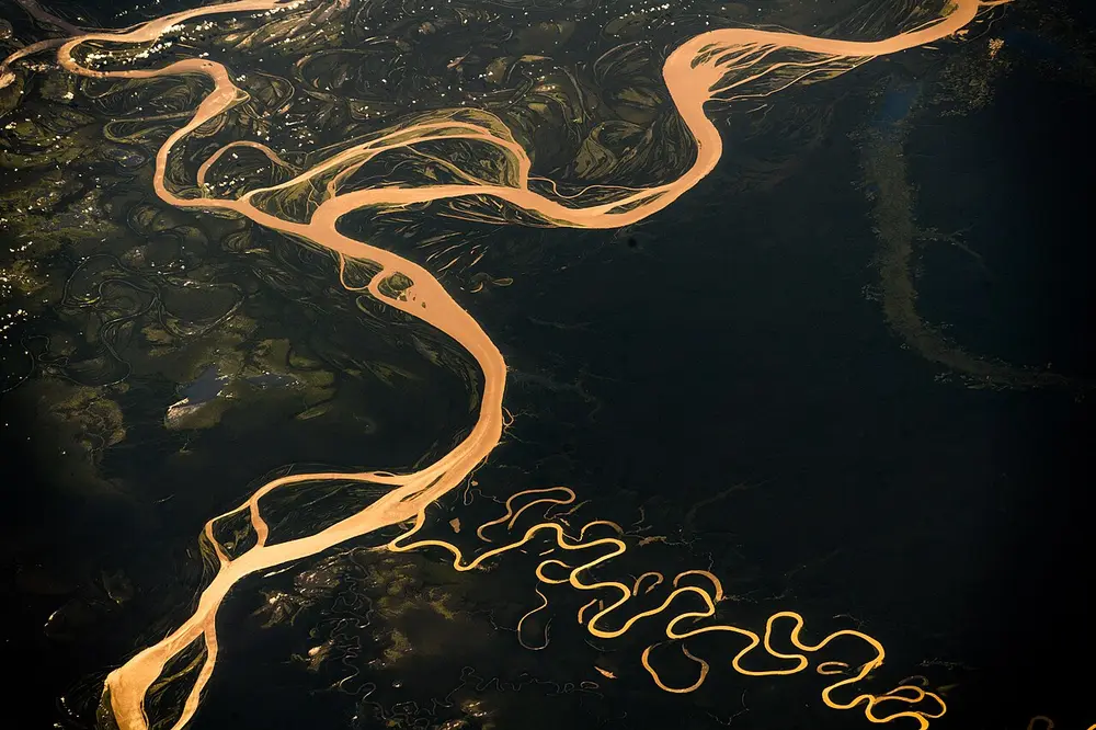 A photo from space of a wide, golden-brown river looping through dark green forest, with smaller rivers curling beside it.