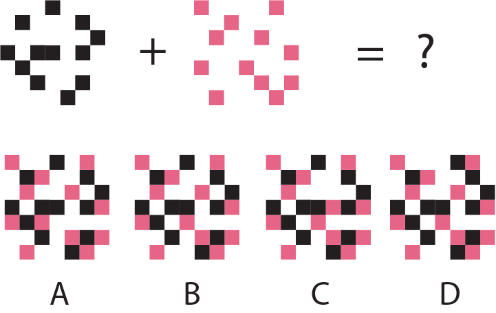 Which of the options correctly completes the given visual matrix?