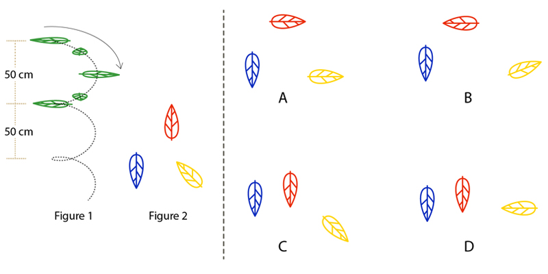 Three leaves are falling from a tree. Figure 1 shows the way a leaf falls. Figure 2 illustrates the starting orientation of the three leaves. If the blue colour leaf is at 200 cm, the red colour leaf is at 425 cm and the yellow colour leaf is at 375 cm from the ground, then what would be the orientation of all the leaves when they reach the ground?