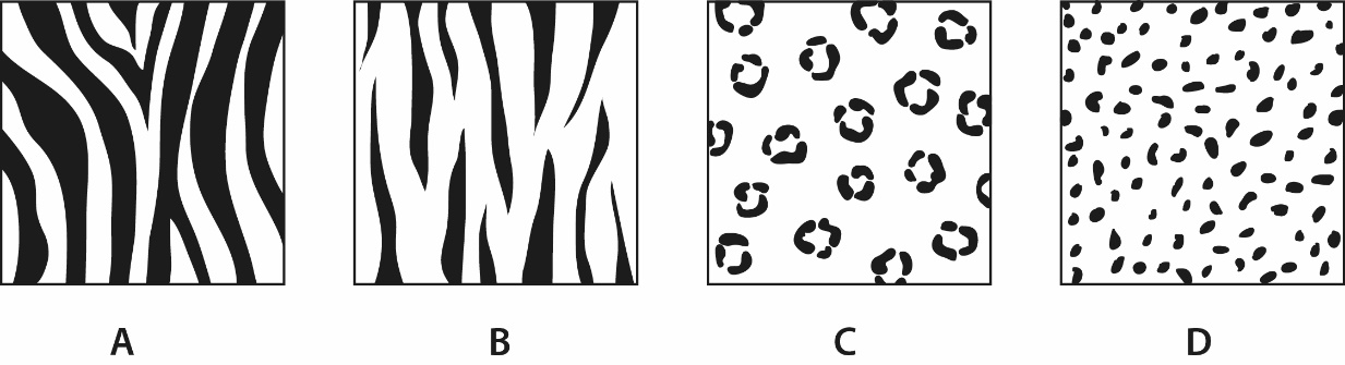 Identify the odd one.