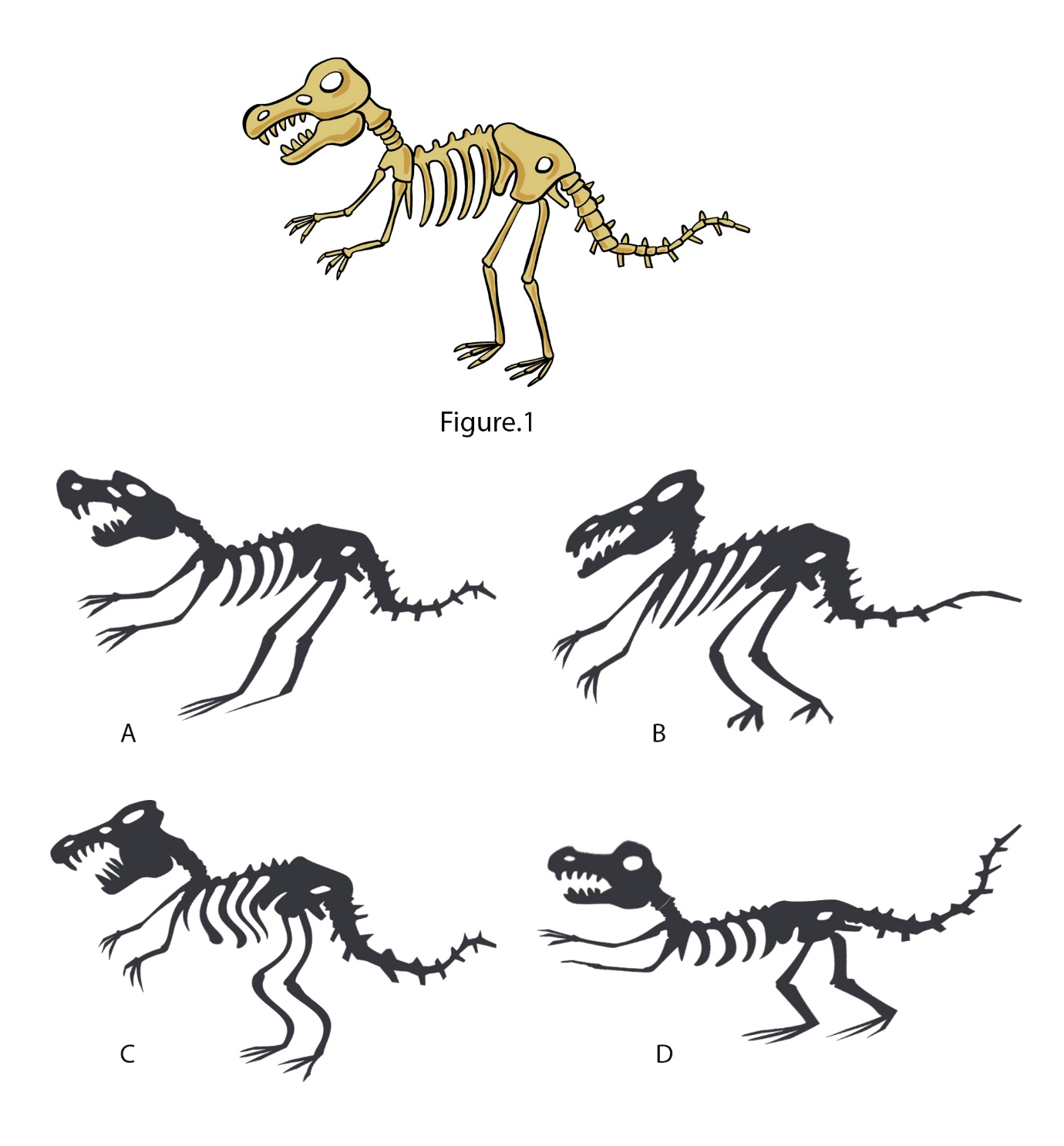 Figure 1 shows the skeleton of a T-rex dinosaur. Identify the correct distorted silhouette from the given options.