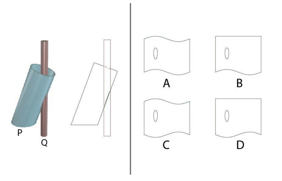 A cylinder P is cut by a cylinder Q as shown. Choose the option which shows the shape obtained after unrolling cylinder P.