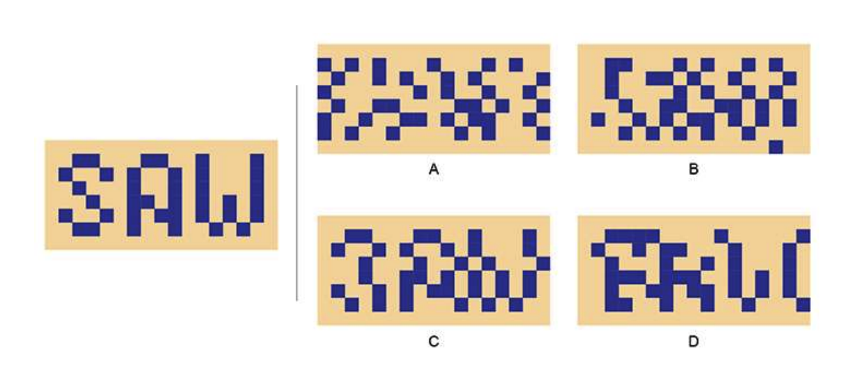The pixels in the image on the left are shifted horizontally to create one or more options on the right side. Identify the correct option(s).