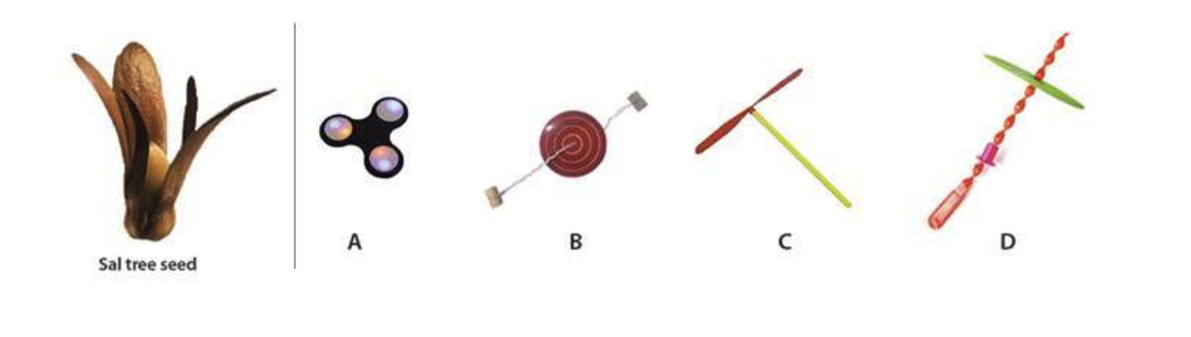 Sal tree seed moves in a particular manner while free falling. Which toy(s) given below has/have a similar movement?
