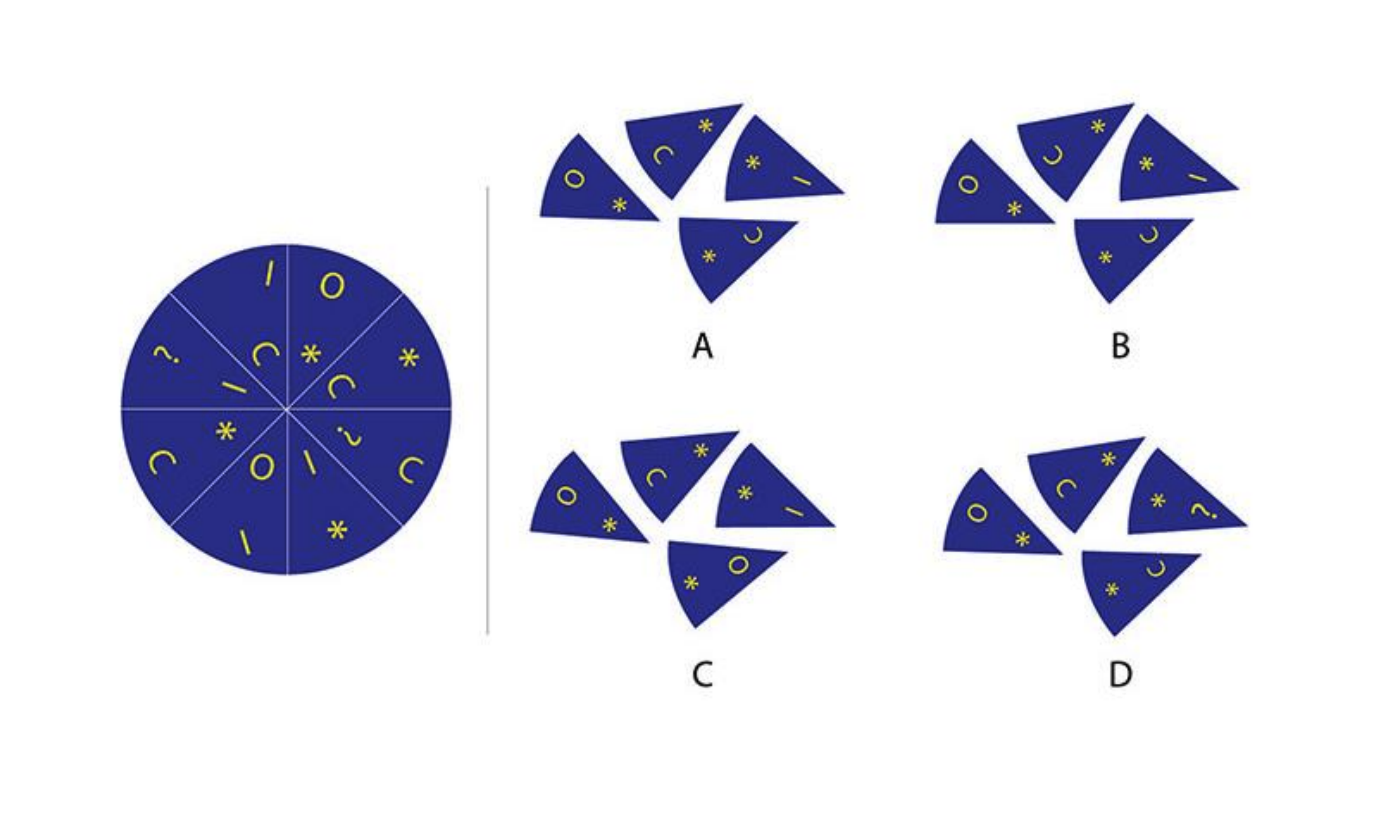Which option has all four parts that belong to the disc shown on the left?