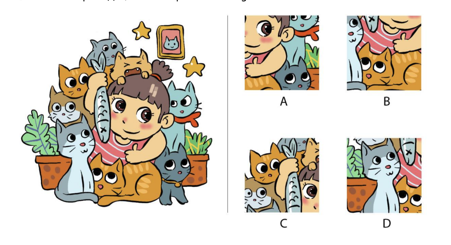 Which option(s) is/are NOT a part of the image on the left?