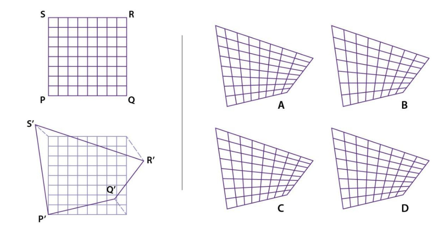 A grid PQRS is distorted such that its edges get stretched or compressed UNIFORMLY to form P'Q'R'S' as shown on the left. Identify the correct distorted grid from the options.
