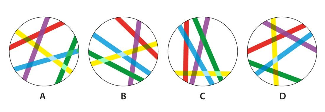 Identify the odd one out.