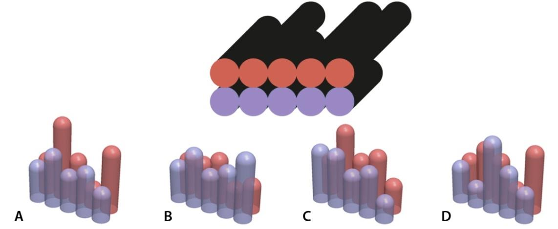 Shown below is a schematic figure of two rows of test tubes with the ground shadows seen from the top. The test tubes are of varying heights. Identify the set of test tubes that cast the shadows.
