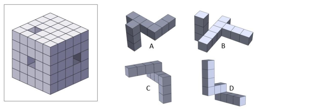 Three holes have been drilled through a cube of size 5 x 5 x 5 units. From the options given, identify the form that can fill the holes perfectly?