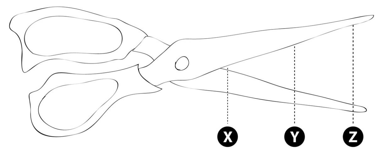 Three positions X, Y and Z are marked on the cutting edges of a pair of scissors as shown. Rank the points in terms of cutting strength from strongest to weakest.