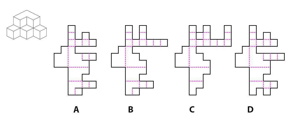 If the black lines represent cutting lines and dotted pink lines are folding lines, which of the options correctly represent(s) the opened up surfaces of the solid shown?