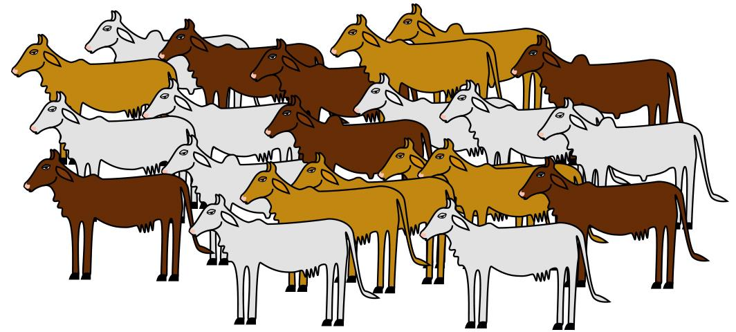 Shyam runs a dairy. In his cattle herd, each white cow gives 12 litres of milk, each brown cow gives 7 litres of milk and each yellow cow gives 10 litres of milk every day. He has drawn a sketch of his herd which is shown below. Using this sketch, calculate the amount of milk (in litres) produced by his dairy per day?