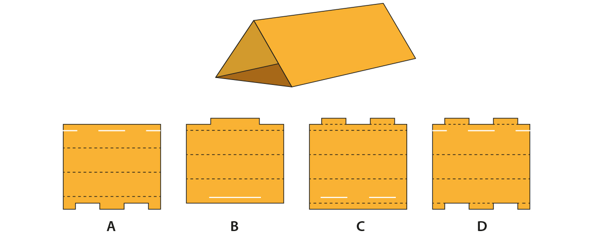 Which of the options CANNOT be folded along the dotted lines into a package as shown in the image? For simplicity sake, cut lines have not been shown in the given schematic. The cross section of the package is an equilateral triangle.