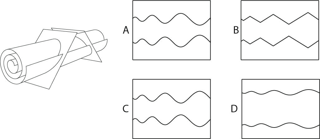 A paper strip is rolled and then cut with two planes at 45 degree as shown below. The middle part of the cut paper is unrolled. Which of the options represents this part?