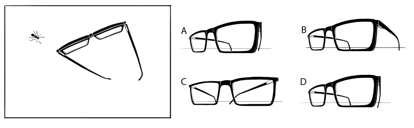An illustration of a walking ant and a pair of glasses lying on the table surface is shown. Which is the correct illustration from the ant's current point of view?