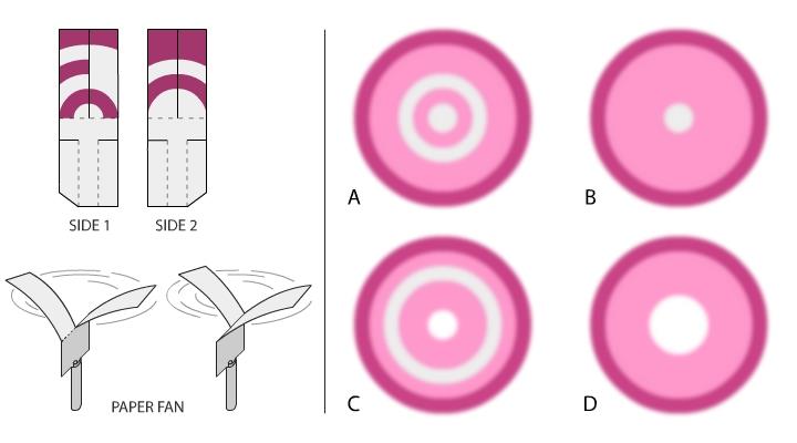 A toy was created using a piece of paper, the two sides of which are shown in the image. When dropped from a height it spins like a fan. Which of the options depict(s) the correct pattern formed while it spins?