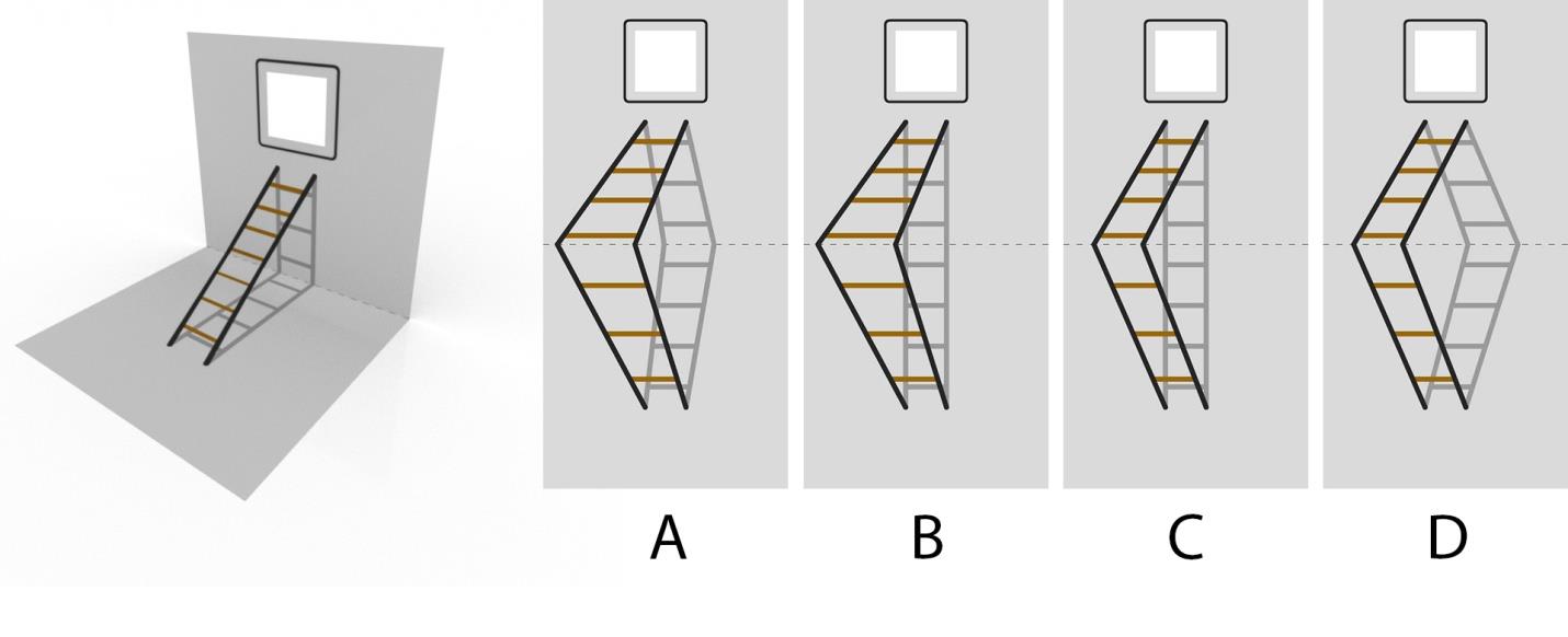 An artwork on a paper creates an illusion of a ladder resting on a wall when the paper is folded and viewed from a specific angle as shown in the image. Which of the options correctly depicts this artwork on the paper when unfolded?