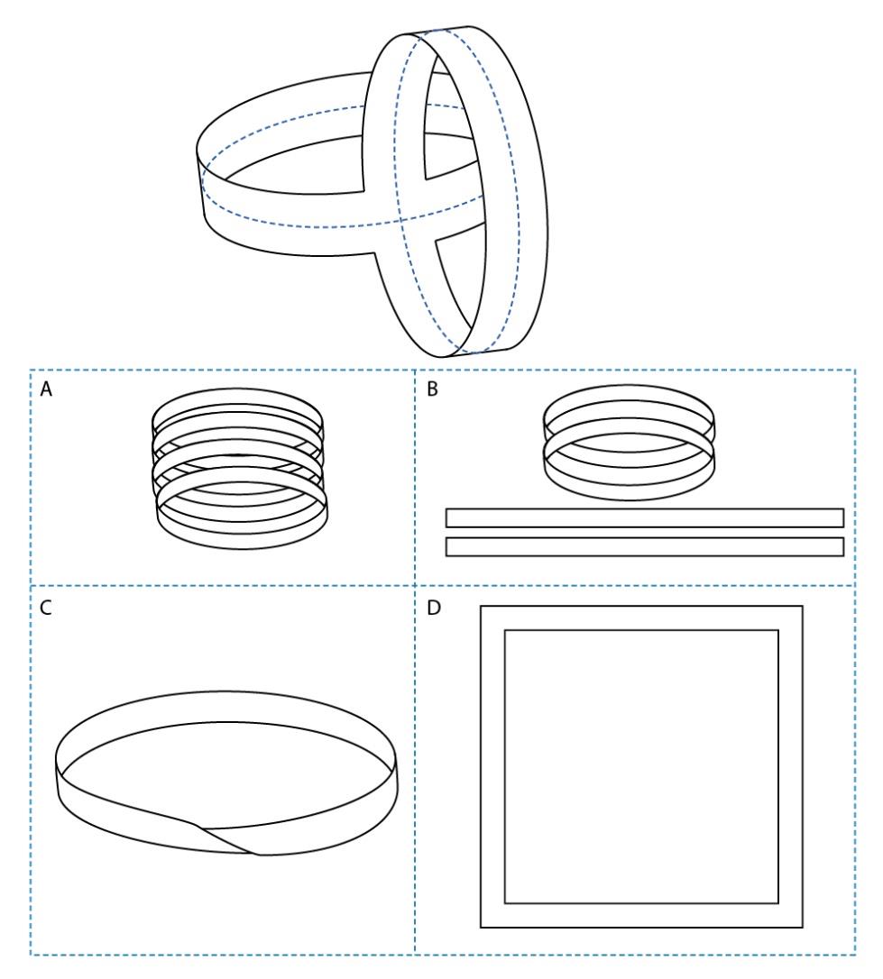 Two paper loops are joined together as shown in the figure below. If you cut the loops along the blue dotted line, what will be the resultant figure?
