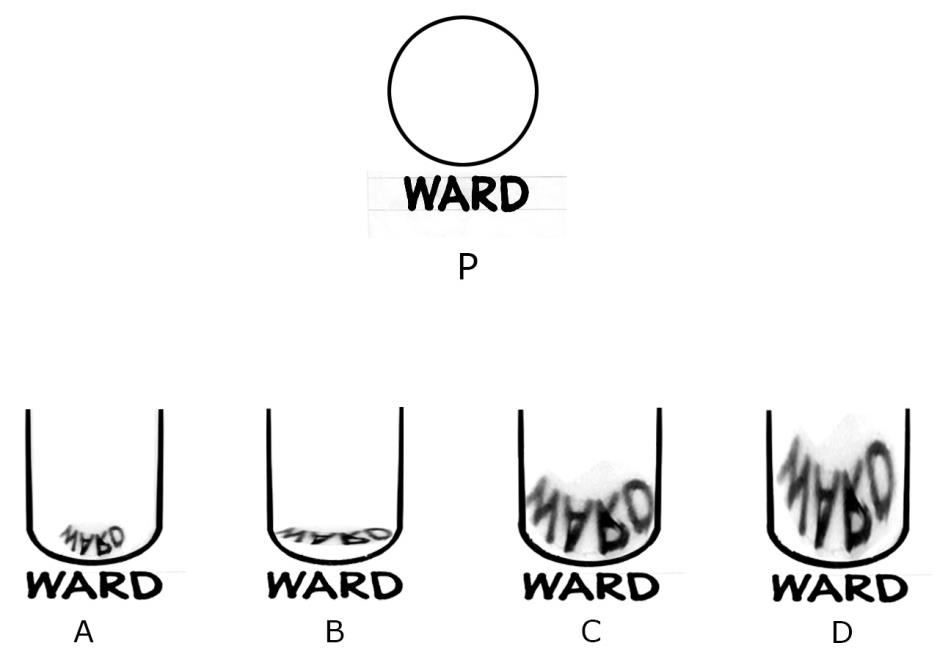 Figure shows the top view of a cylinder with mirror finish kept on a paper on which the word 'WARD' is written. Which of following images is the best representation of the word and its reflection?