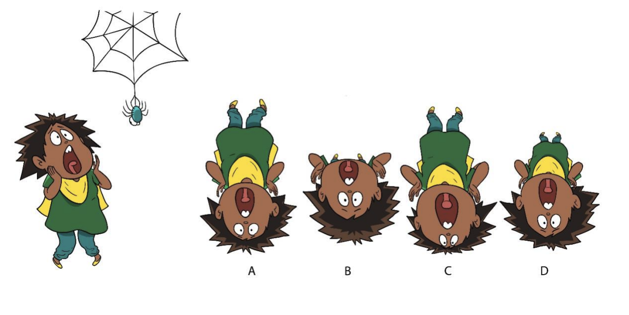 A story depicts Sabina encountering a spider. The continuing scene has to represent the spider's point of view of Sabina. What is the most appropriate option?