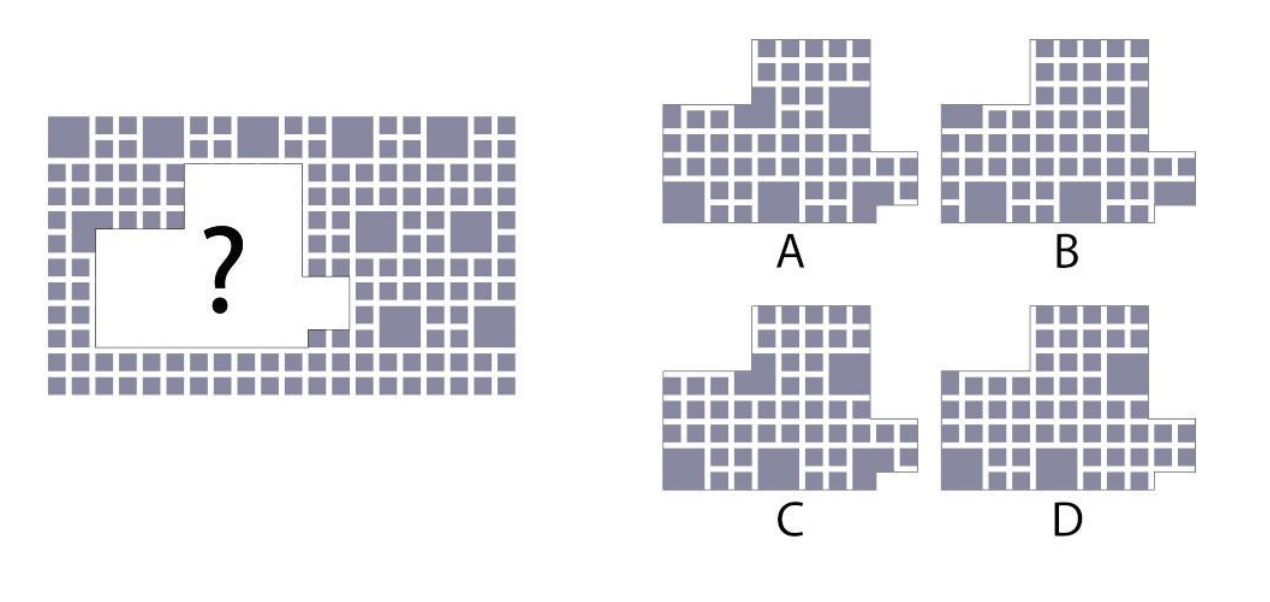 A large pixel grid pattern has a missing central section marked with a question mark. Identify the missing section.