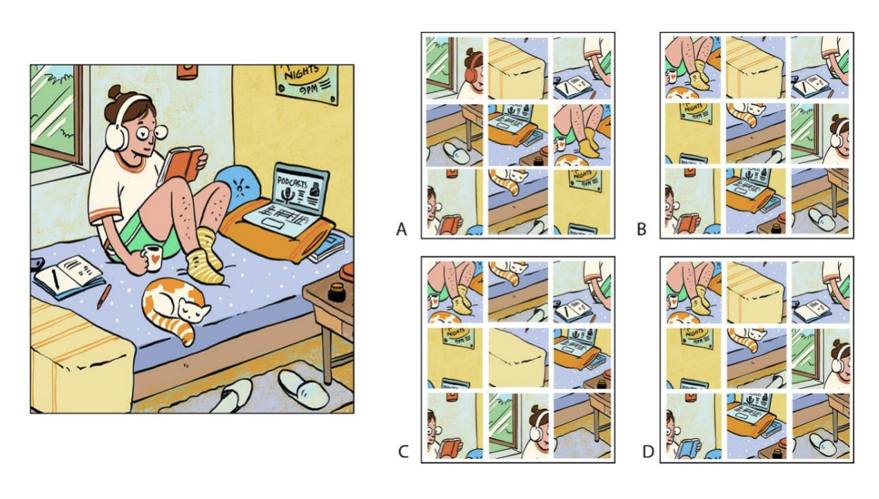 The left image below shows Nandu's study room. The image is sliced in 9 equal parts. From the given options, find the correct set of images.