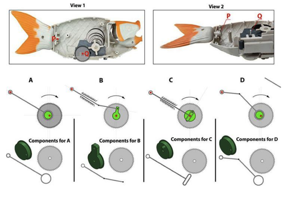 Different views of the cross section of a fish toy are shown here. The points P and Q are connected in such way that the fish tail waves. The grey colour gear and the green colour part are joined together. The rod is free to move depending on how it is connected to the green part. Which of the option(s) will work to wave the tail?