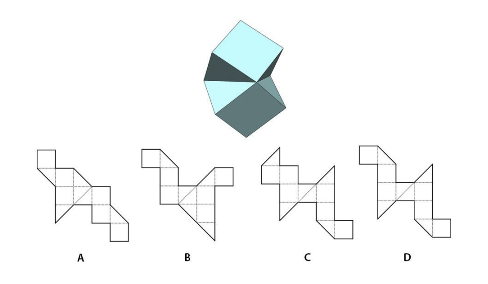 Which option, when folded, will result in the solid shown?